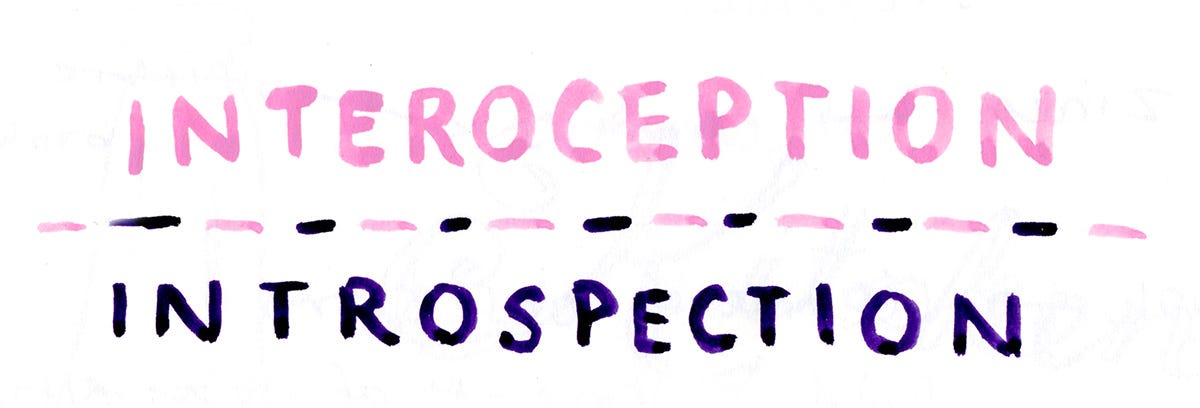 Interoception / Introspection Interoception / Introspection