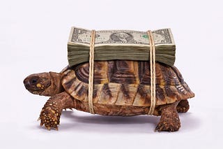 Set for Life in 6 Months by Travis Sago | Substack