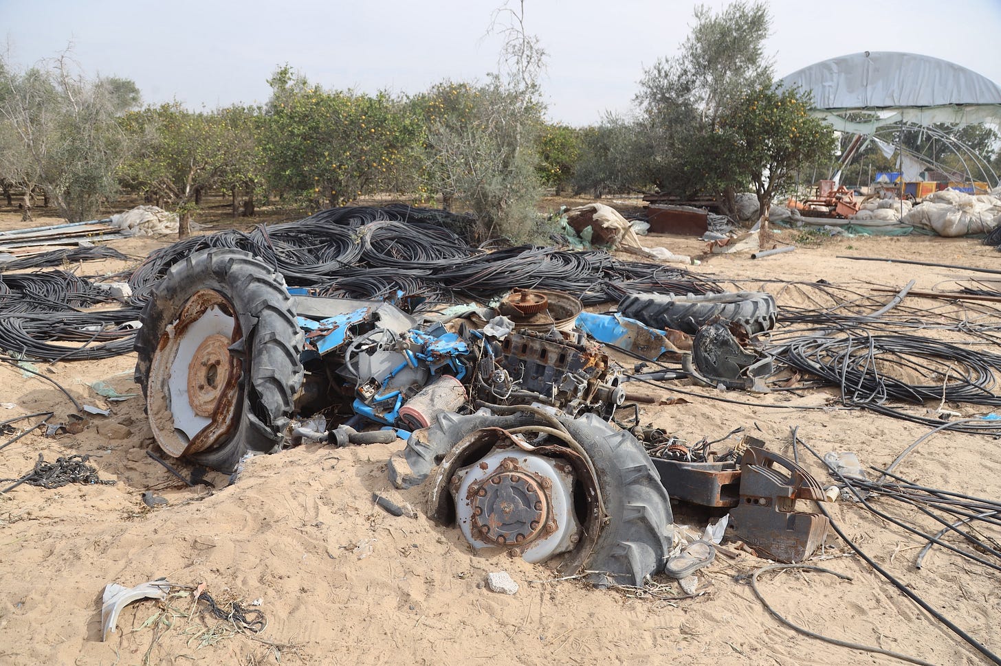 © FAO/Yousef Alrozzi © FAO/Yousef Alrozzi