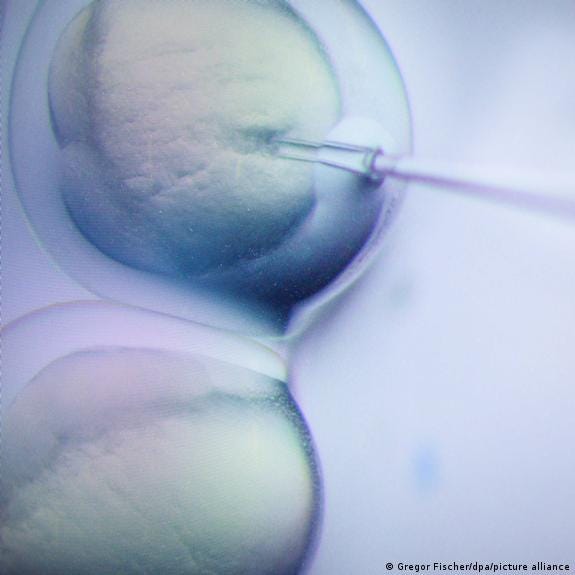 Microscope image of needle puncturing cell