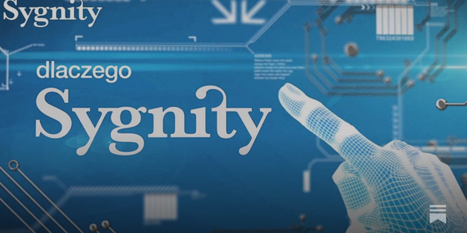 💎Sygnity: European Software Compounder, image size:1600x800