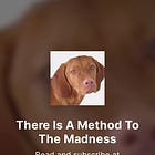 Please Share There Is A Method To The Madness