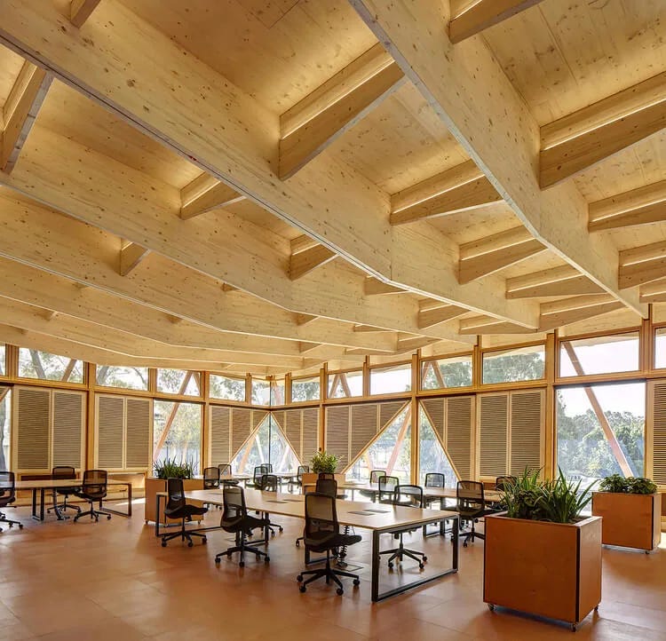 Incubadora de la Universidad de Macquarie, imagen interior Incubadora de la Universidad de Macquarie, imagen interior