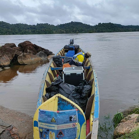 Morfo Team working in French Guiana