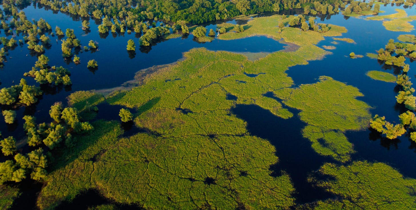 Why Wetlands Matter - Wetlands International Europe Why Wetlands Matter - Wetlands International Europe
