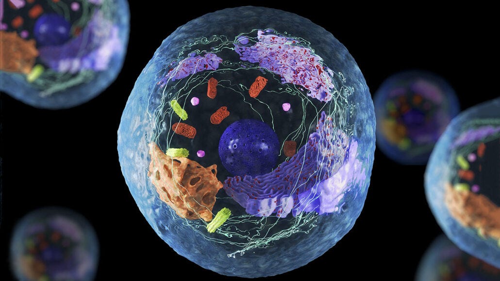 a computer graphic illustration of a cell floating against a black background, other cells are visible around the edges of the image a computer graphic illustration of a cell floating against a black background, other cells are visible around the edges of the image