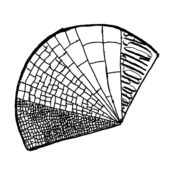 Metamorphosis logo