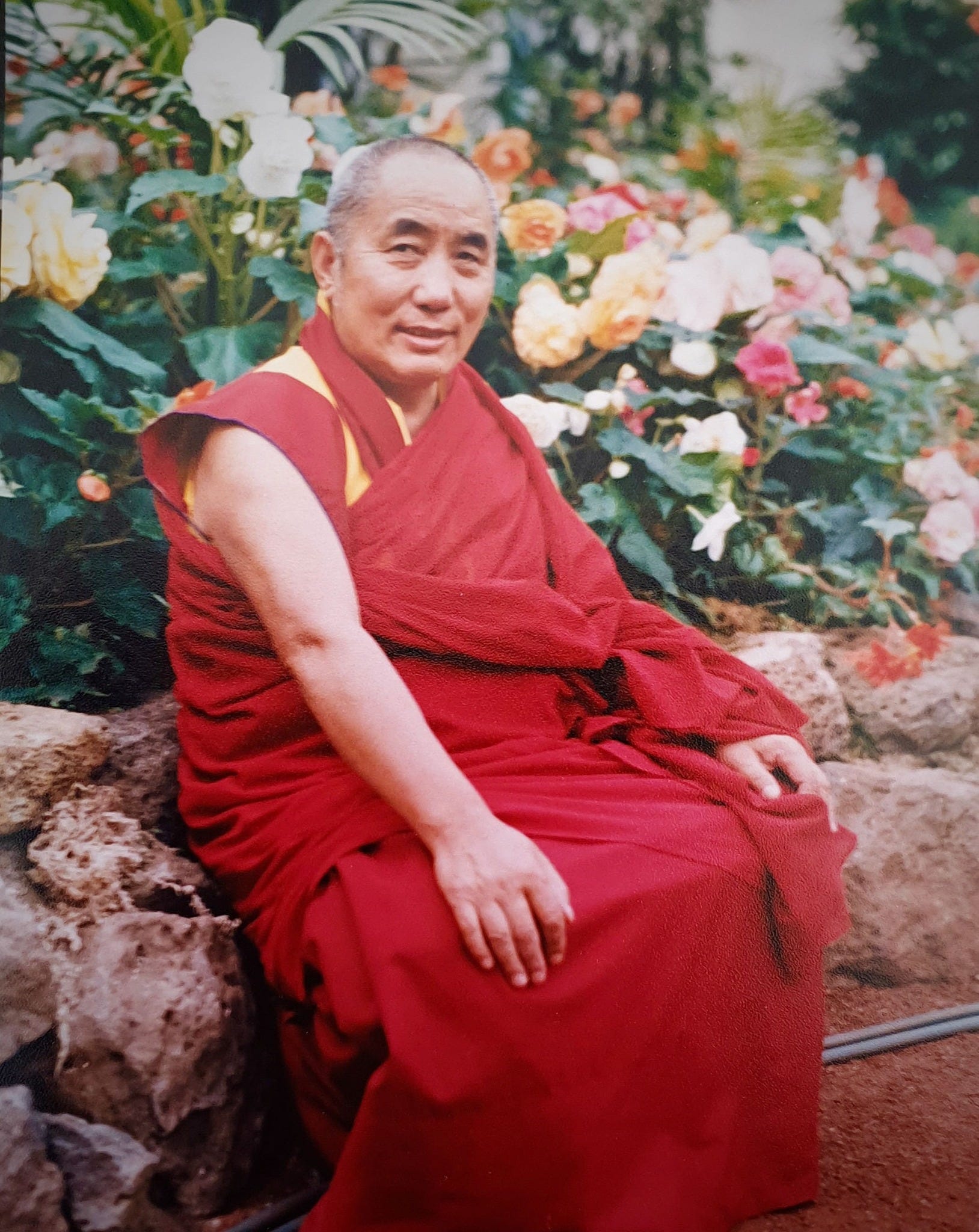 Living with the lamas - by David Michie, image size:1628x2048