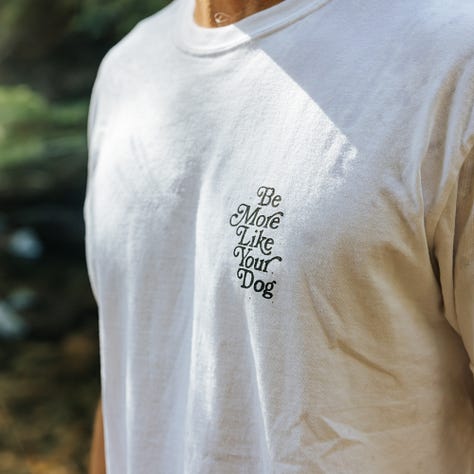 awkward man frolics around stream with dogs wearing very nice merch from be more like your dog