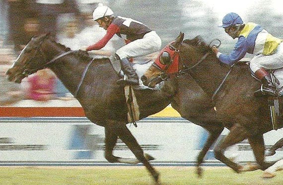 Vodacom Durban July: Craig Peters | Sporting Post Vodacom Durban July: Craig Peters | Sporting Post
