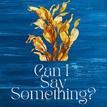 Can I Say Something?