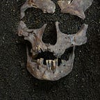 Anthropology.net