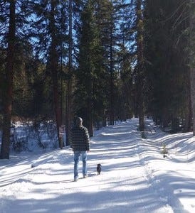 Walking with my boys is my favorite part of the day Walking with my boys is my favorite part of the day