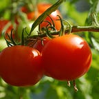 The Maritime Gardening Newsletter