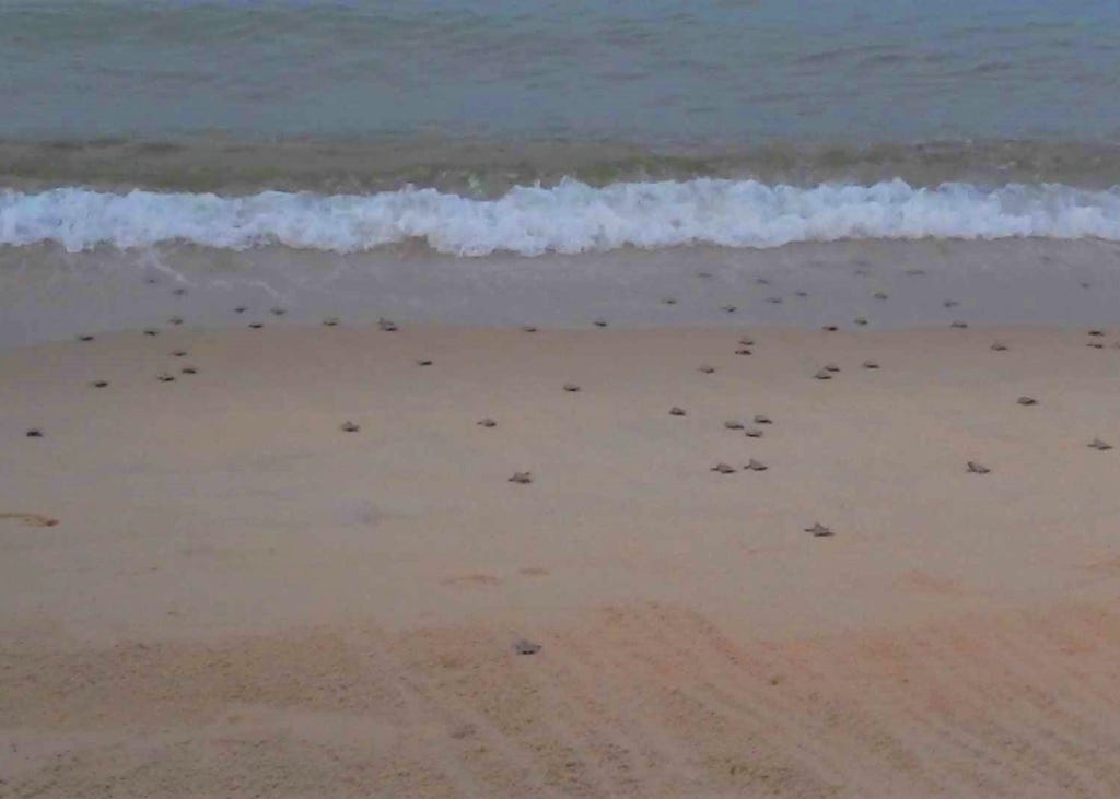 tioman island activities