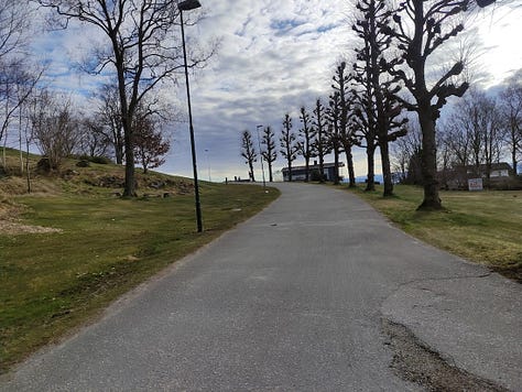 Views of a wide gravelled path, bordered by thin trees, and one of the lake