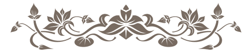 Floral Decorative Ornament Divider PNG & SVG Design For T-Shirts