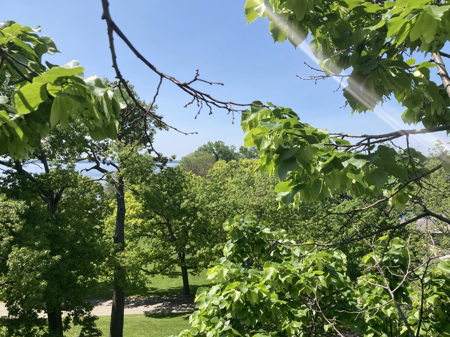 A photograph from high in the air showing a park and a lake on the horizon A photograph from high in the air showing a park and a lake on the horizon