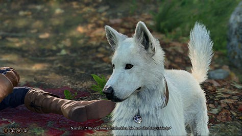 A set of screenshots of the game Baldur's Gate 3, featuring environments and dialogue.