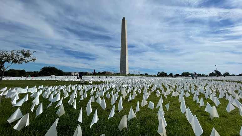 us excess deaths