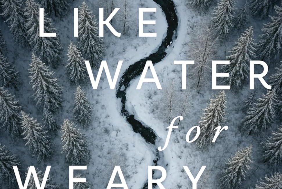 Like Water for Weary Souls by Liisa Kovala