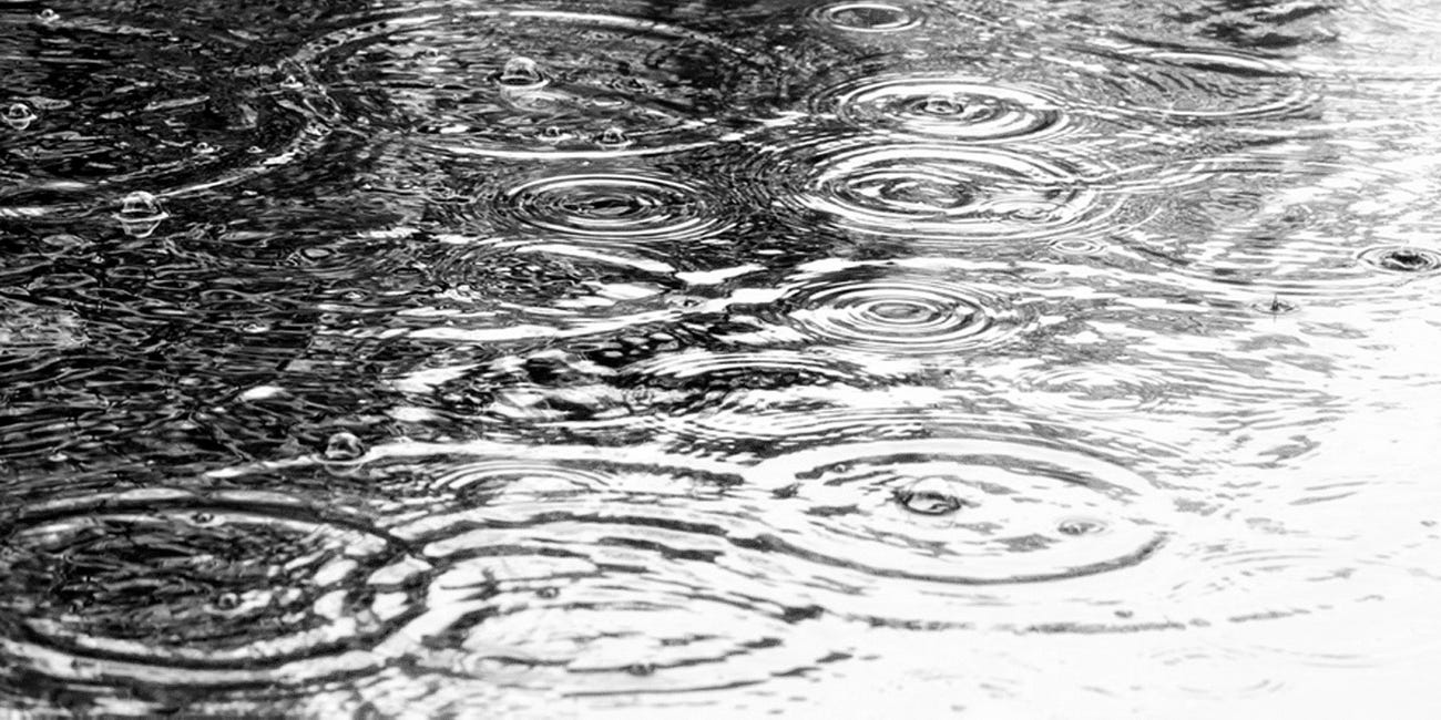 The Taste of Tears (04/02/05)