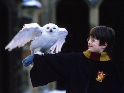 Harry Potter Harry Potter