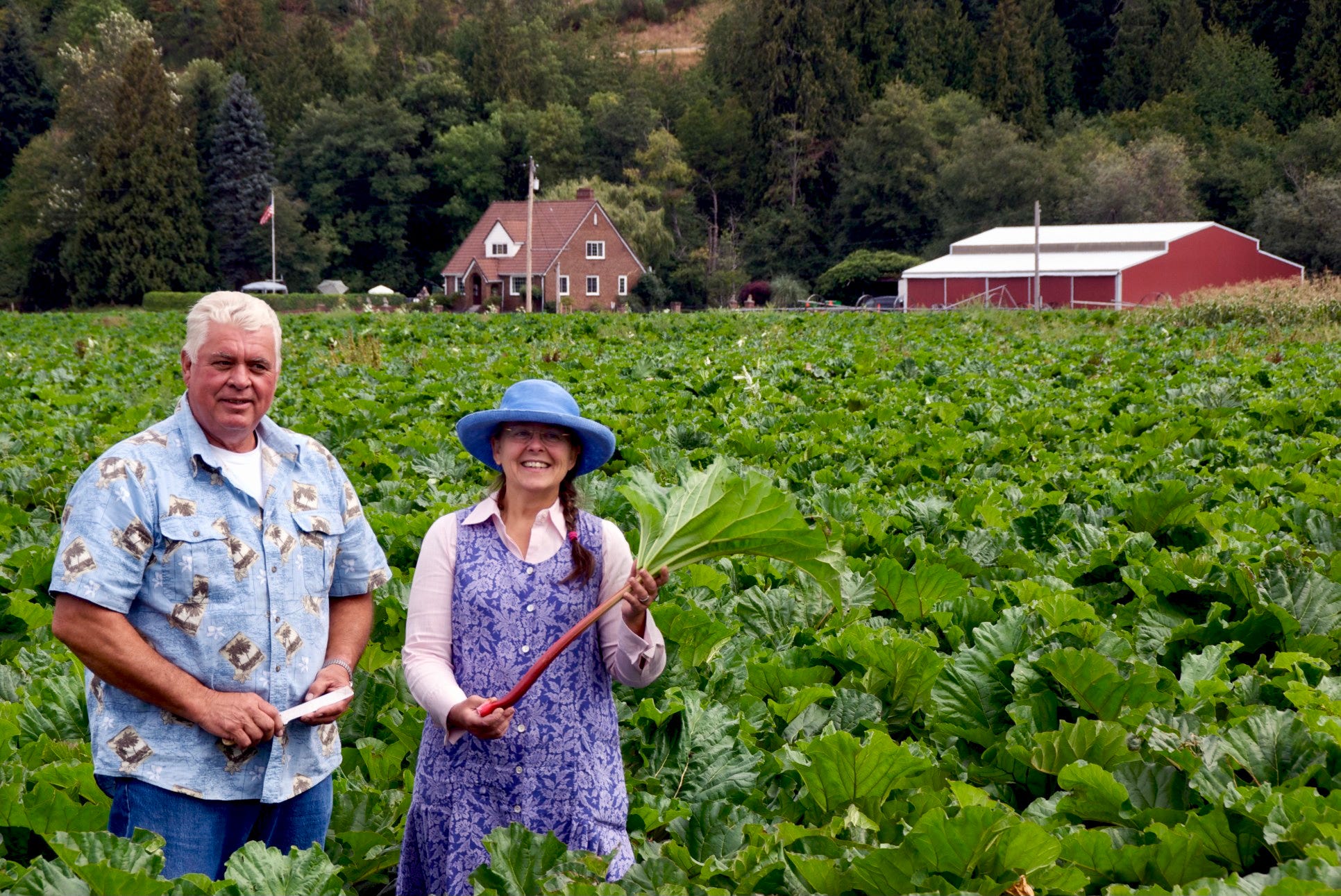 Robin Raudabaugh Farm #154: Rhubarb Days - Kate McDermott's Newsletter