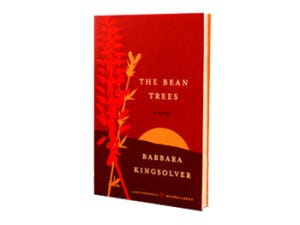 the-bean-trees-350x263 the-bean-trees-350x263