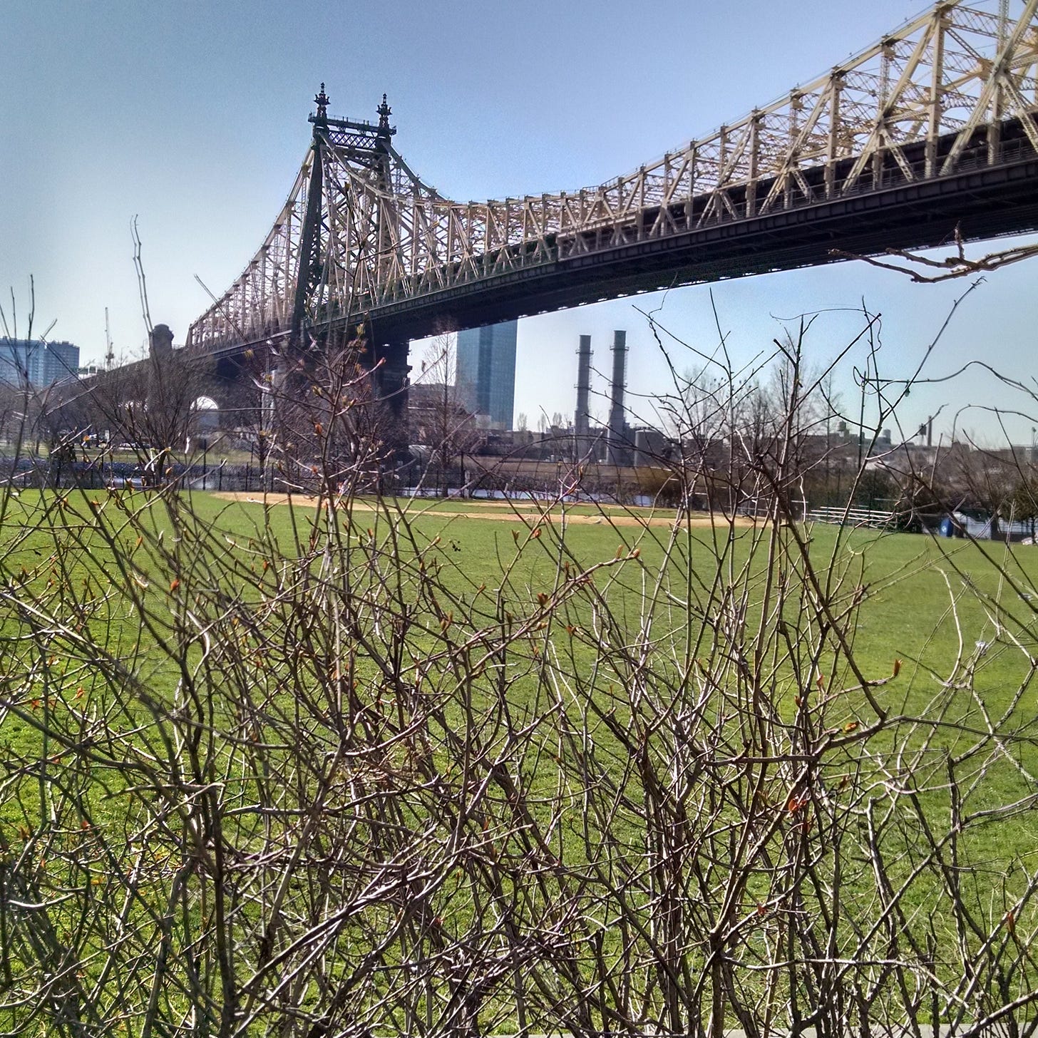 Roosevelt Island, April 2015 Roosevelt Island, April 2015