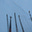 Avatar di Silvia B.