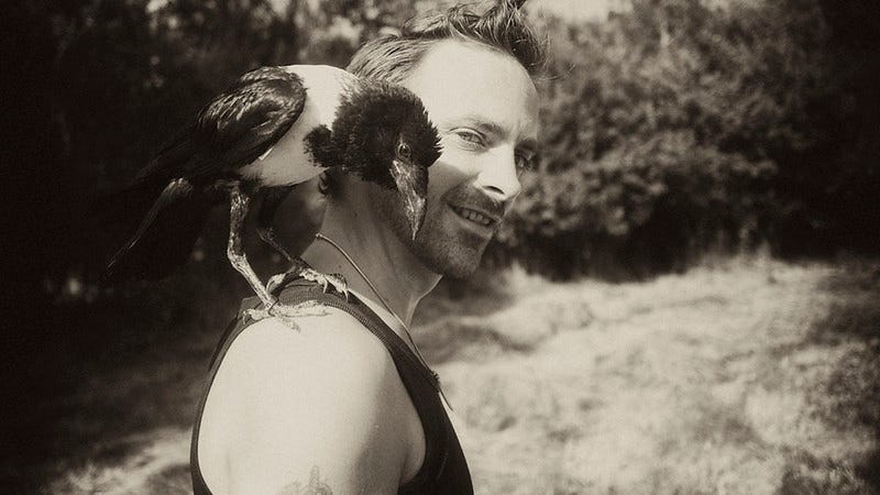 Stephen Hodd - Stephen Hodd_Crow