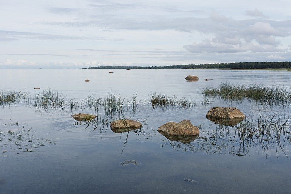 File:Gulf of Finland in Shepelevo.jpg