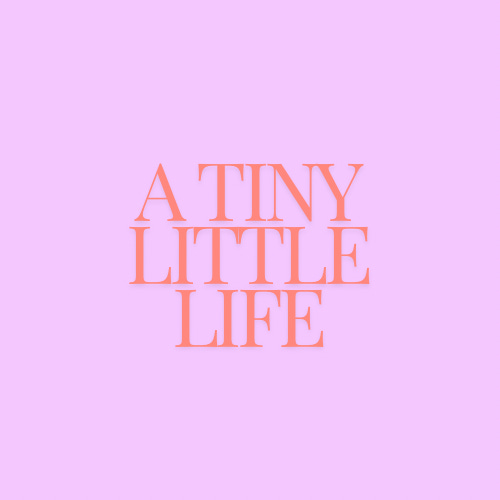 A tiny little life. 