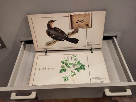 Vues du Musée Maritime de Nouvelle-Calédonie, octobre 2023