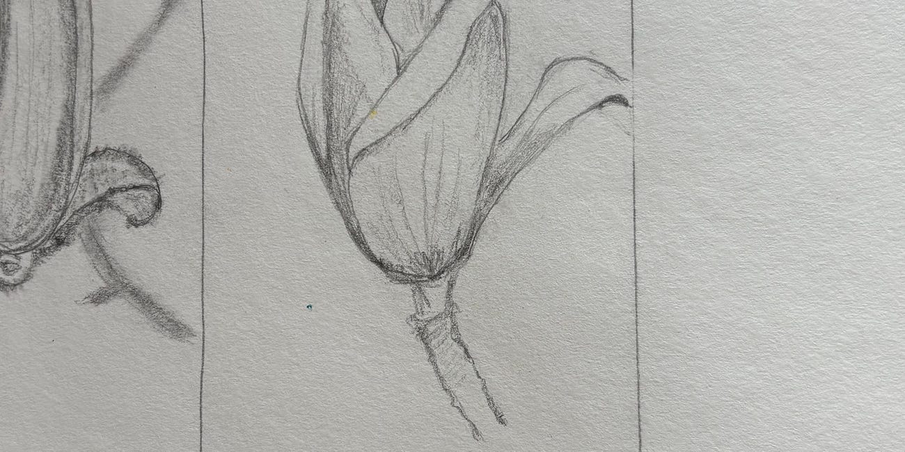 A flock of artists, a magnolia in spring, and a pilgrim on the way to somewhere... 