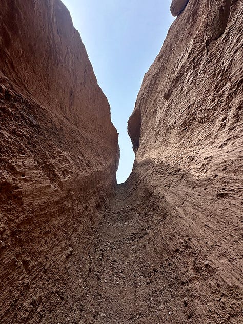 Mountain and desert scenes, wild burros