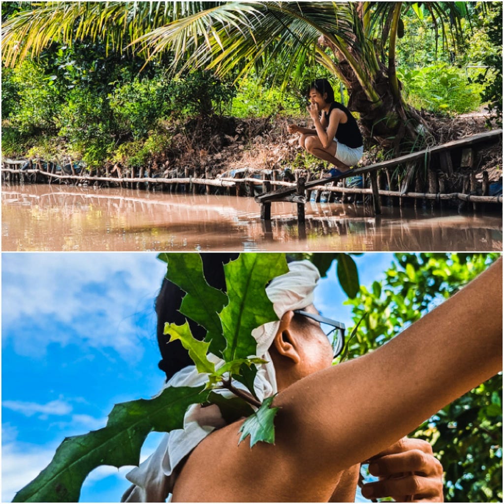 Cầu cá Cầu cá