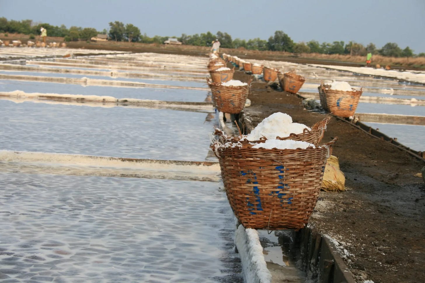 salt baskets during harvest
