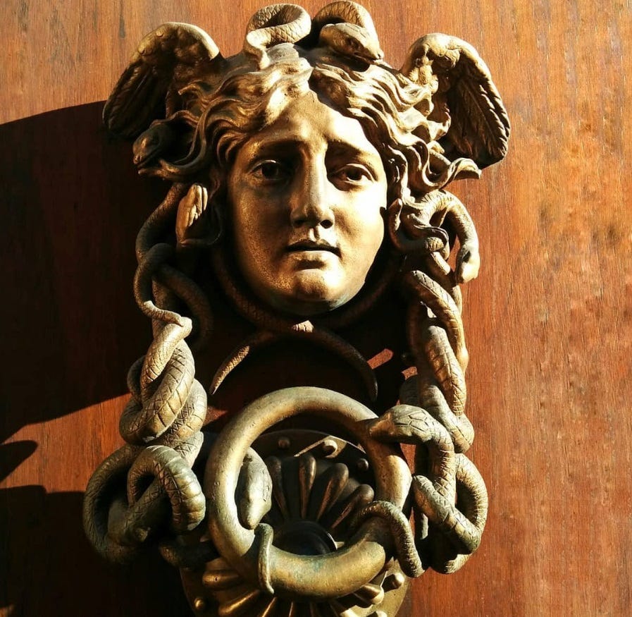 Magda liest. Und liest. Und liest.