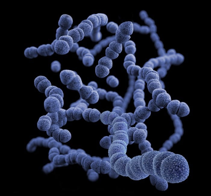 The Bacteria In Our Gut Could Help With Protection Against A COVID-19 Infection.