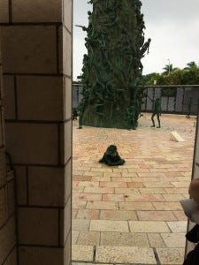IMG_0359 IMG_0359