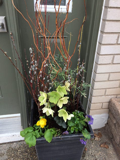 Colourful front planters for spring
