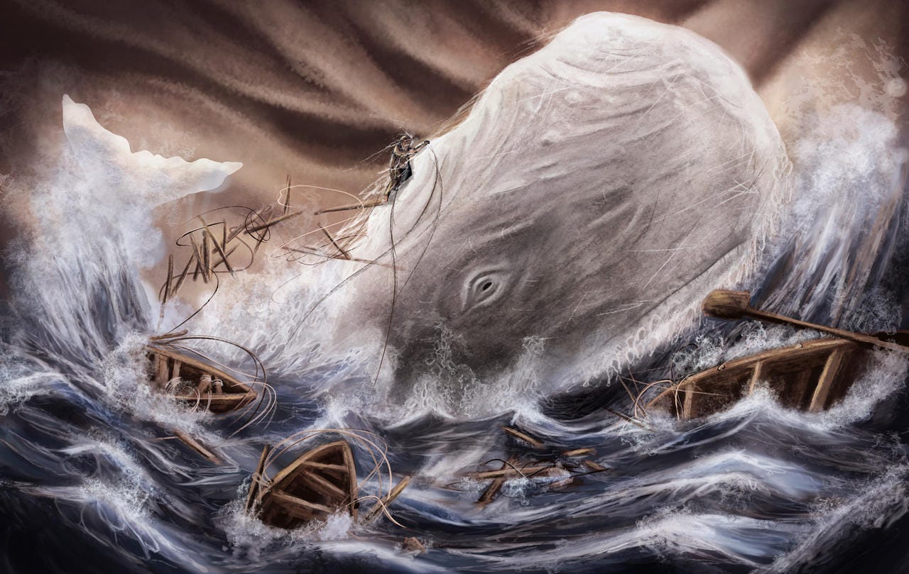 Moby Dick by punknower on DeviantArt