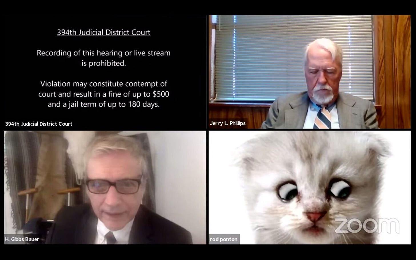 I&#39;m Not a Cat,&#39; Says Lawyer Having Zoom Filter Difficulties - The New York  Times