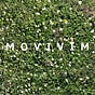 movivim's avatar