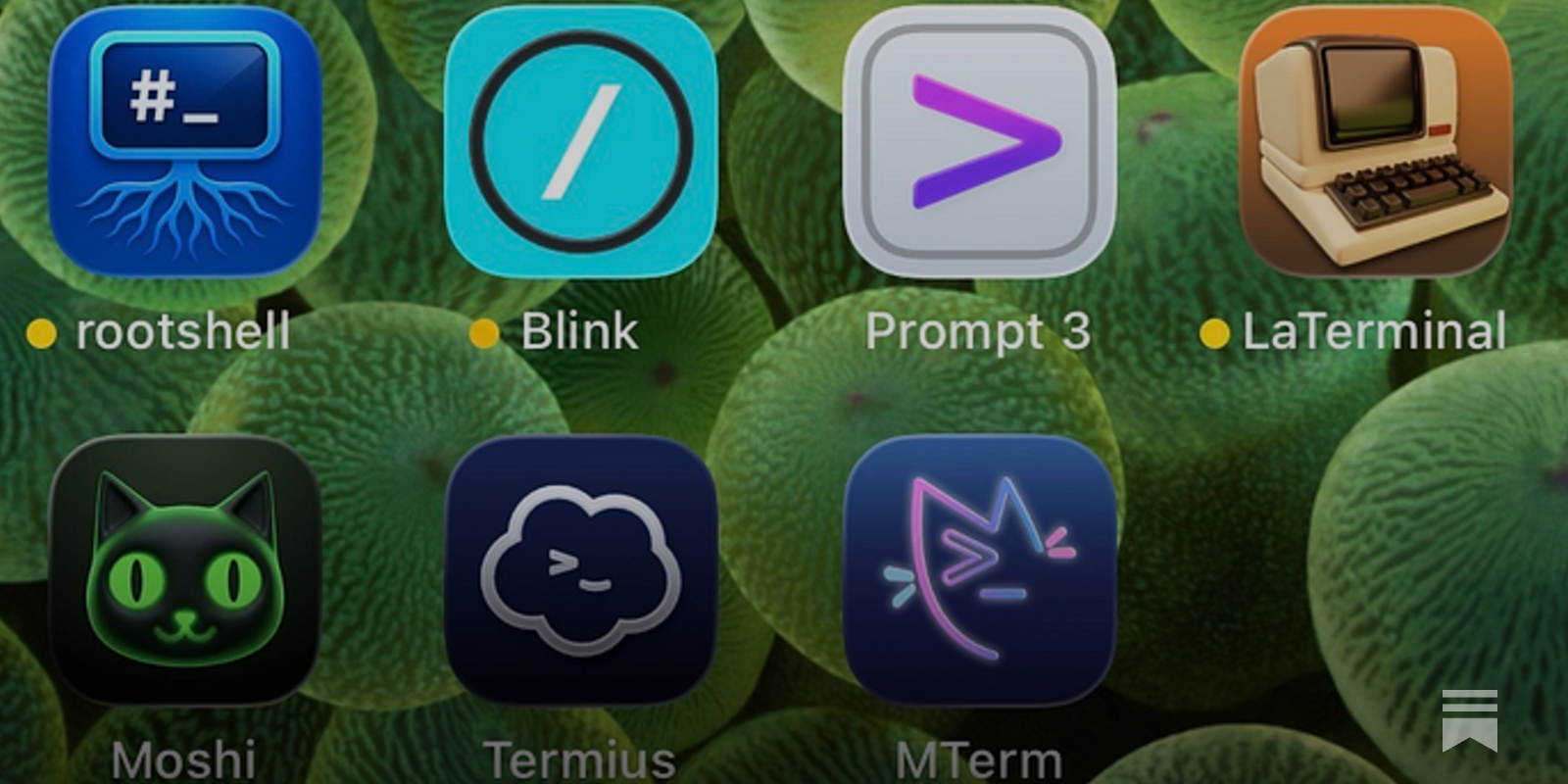 https://aliceisjustplaying.substack.com/p/i-tried-every-ios-terminal-emulator social preview image