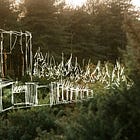 KAIDI RUUSALEPP: How to Market a Hotel That Doesn’t Exist, Yet.