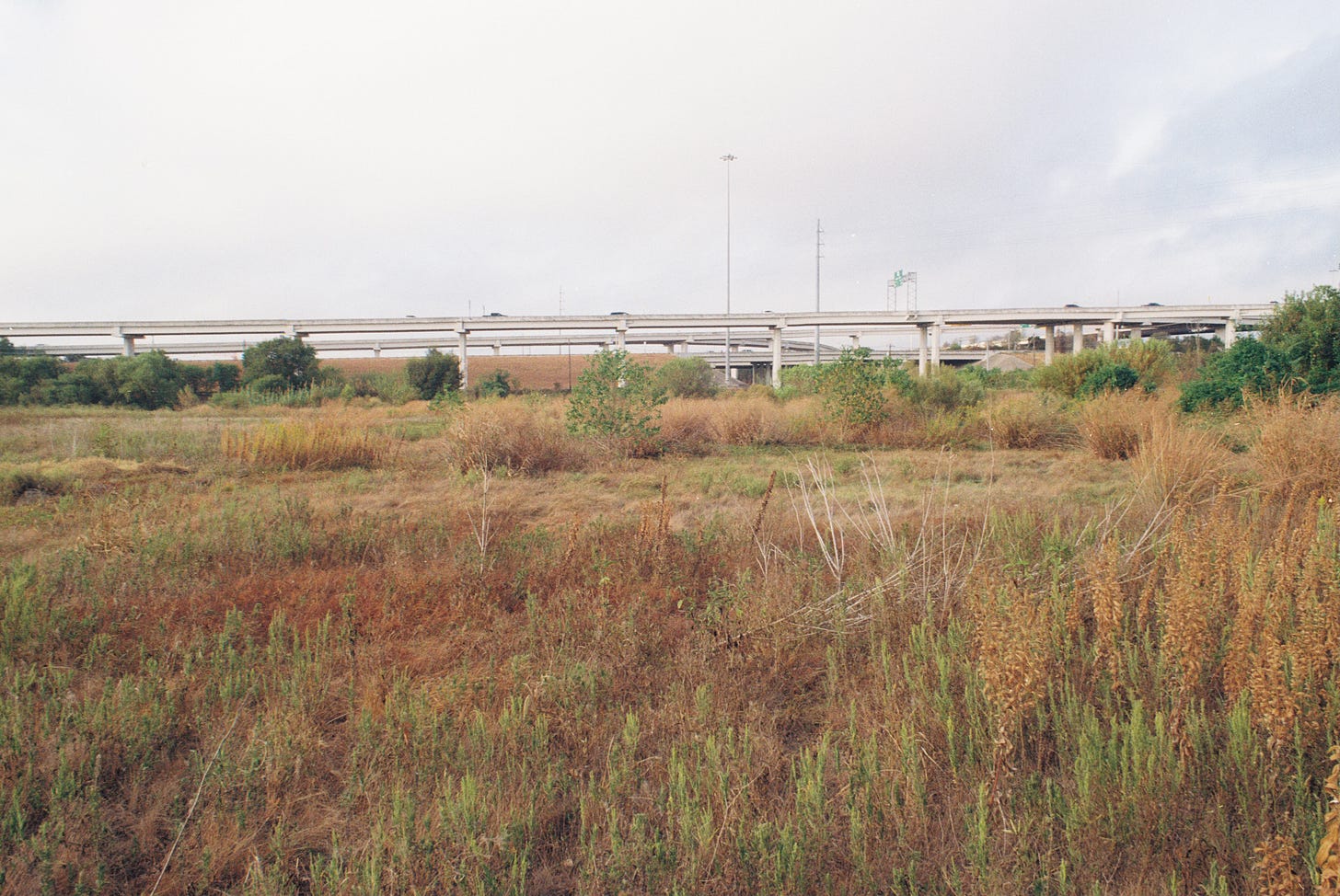 Wetland prairie with overpass in the background
