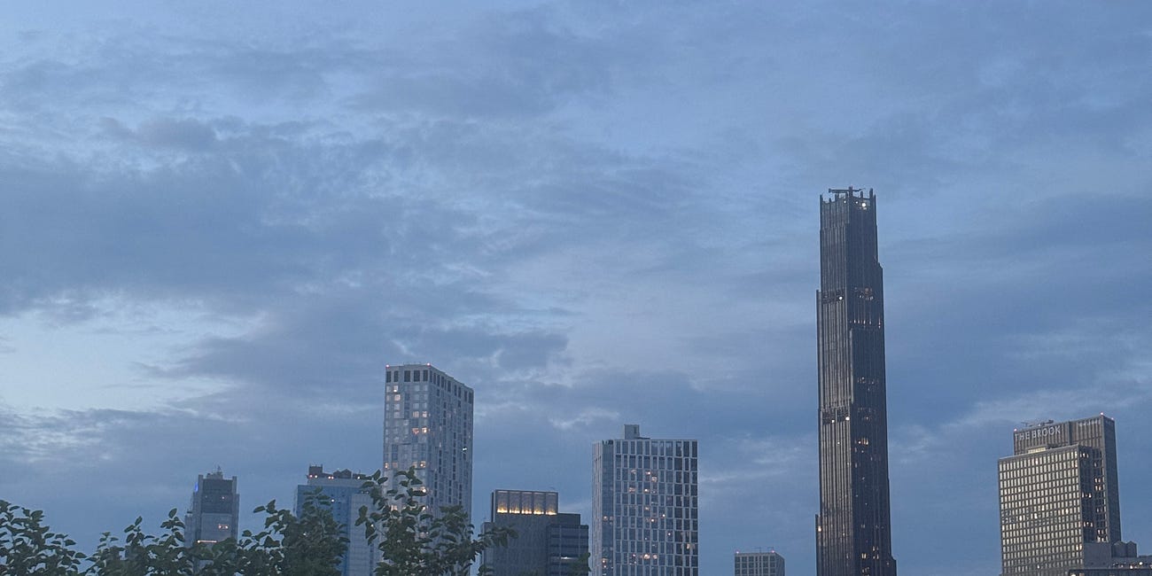 the only dogwalker at the new york rooftop party 